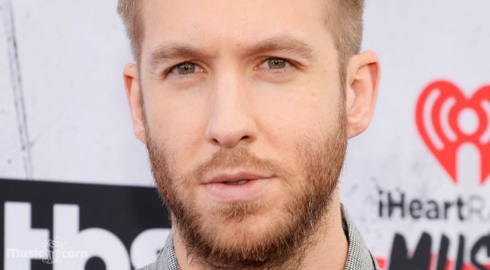 Calvin Harris blames the UK Government